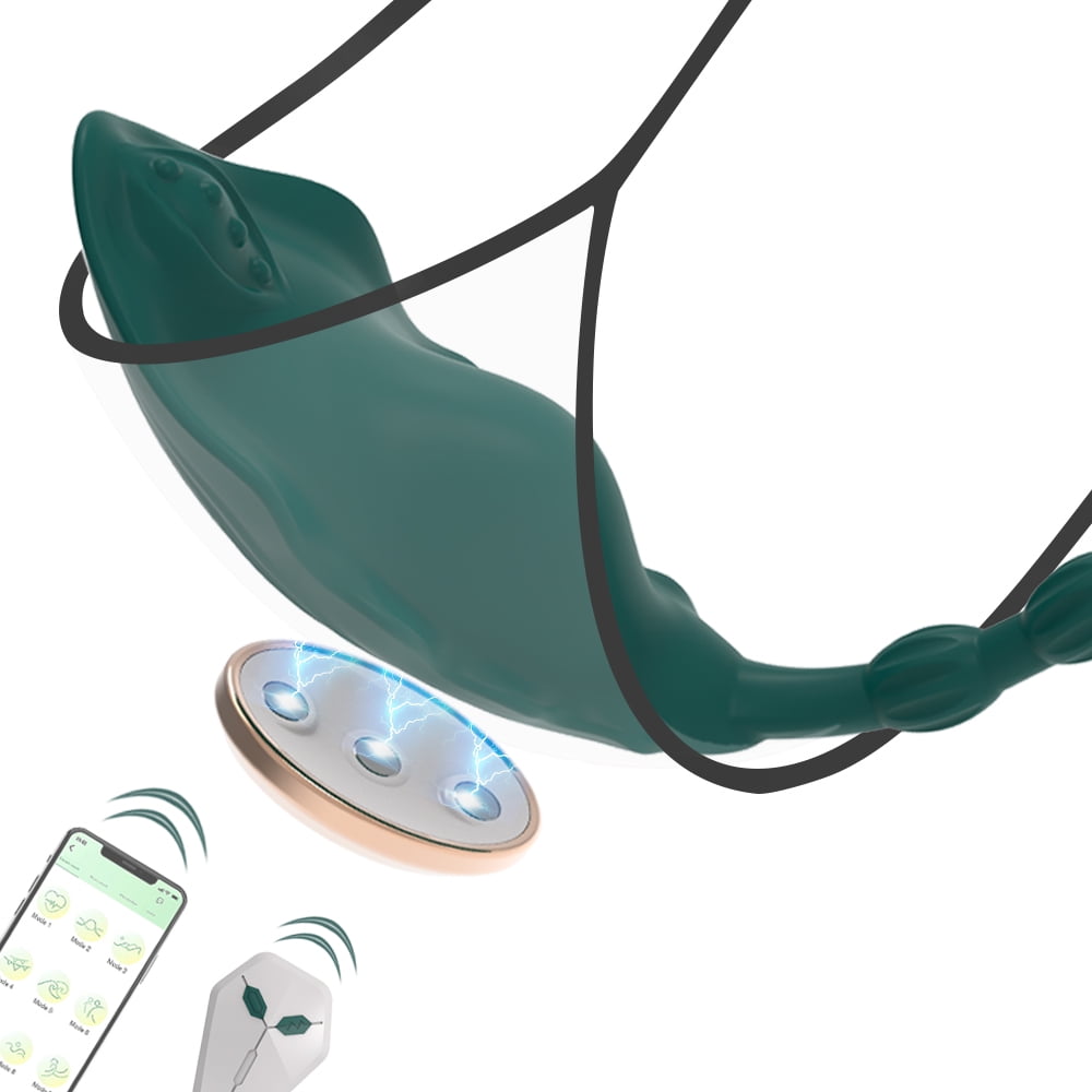 APP Remote Control Wearable Panty Vibrator with Magnetic Clip,G-Spot Stimulator with 10 Vibration Modes,Adult Sex Toys for Women Couples